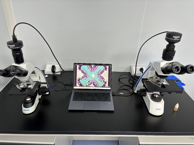 顯微鏡助力湖南大學(xué)交叉學(xué)院組織切片研究