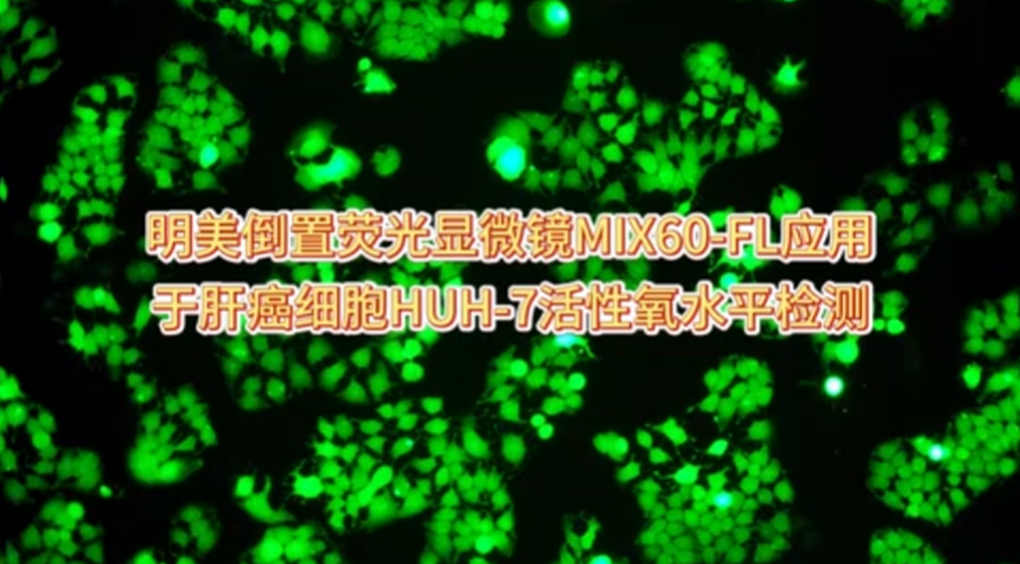 倒置熒光顯微鏡